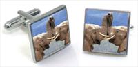 Elephant Cufflinks by Robert Charles