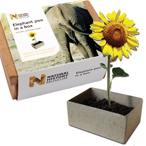 Poo in a Box - Sunflowers