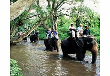 Elephant Trek, Rafting and Hill Tribes - Child