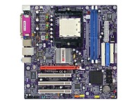 Elite Computer Systems (UK) K8 RS480-M Skt939 DDR PCI-E 16X 128MB ATi Radeon