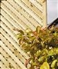 elite Privacy Trellis: (3x) 0.6m
