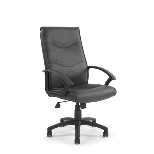 Eliza Tinsley Madison Leather Faced Office Chair