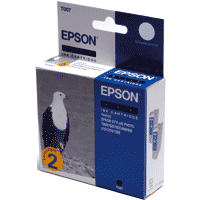 Epson C13T007402 OEM Black Twin Pack