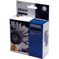 Epson C13T017402 OEM Black Twin Pack