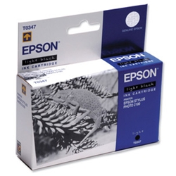 Epson Inkjet Cartridge Light Black for Photo