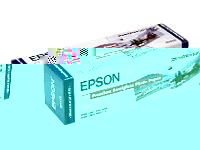 EPSON Premium - Semi-gloss photo paper - Roll (32.9 cm x 10 m) - 251 g/m2