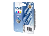 Epson T067