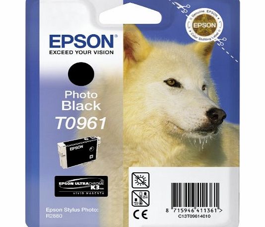 Epson T0961 Ink Cartridge - Photo Black