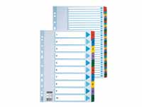 ESSELTE A4 10 part multicoloured mylar tabbed