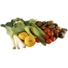 EthicalSuperstore Select Large Organic Veg Box