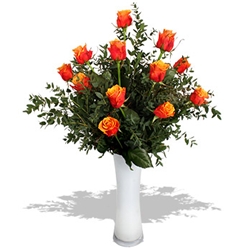 Euroffice A Dozen Orange Roses