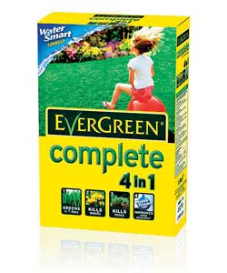 Evergreen Complete Refill