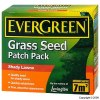 Evergreen Grass Seed Patch Pack For Shady Lawns