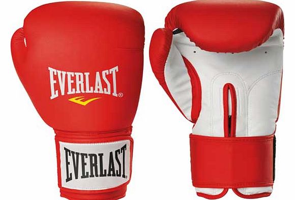 Everlast 14oz Boxing Gloves