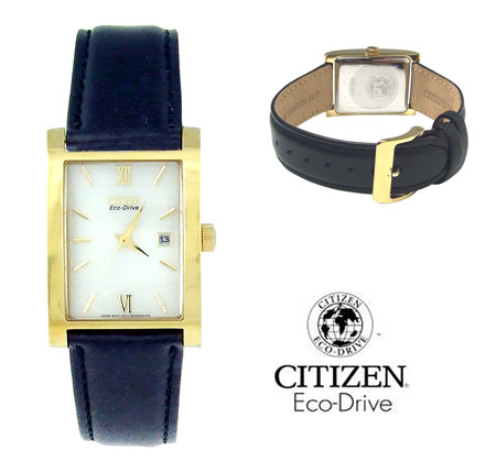 (CITIZEN) Gents Eco-Drive Watch (BW0142-03P)