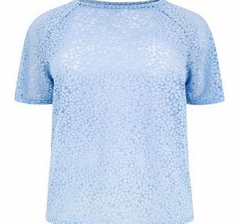Inspire Pale Blue Daisy Burnout T-Shirt 3282455