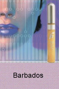 F2 Colour Cosmetics F2 Colour Lips Shine Lip Gloss Barbados