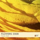 Fairtrade Calendar 2008 - Flowers