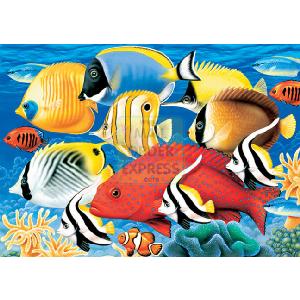 Falcon Coral Reef 500 Piece Jigsaw Puzzle