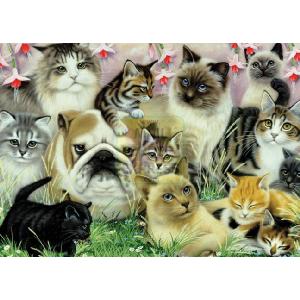 Jumbo 12 Cats and a Dog 1000 Piece Jigsaw Puzzle