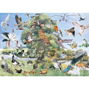 Jumbo Bird Collage 1000 Piece Jigsaw Puzzle