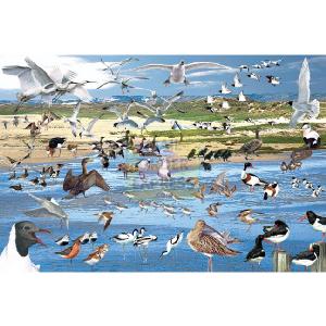 Falcon Jumbo Seabirds 1500 Piece Jigsaw Puzzle