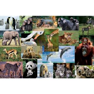 Jumbo Wild Animals of the World 1500 Piece Jigsaw Puzzle