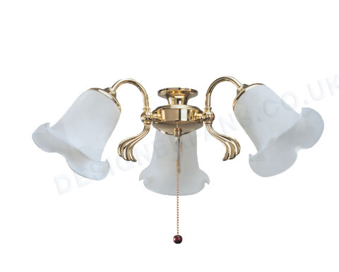 Scavo polished brass ceiling fan light