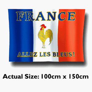FB France Large Flag