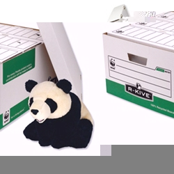 Panda Storage Box Foolscap