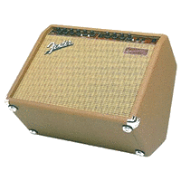 Acoustasonic 30 Acoustic Amp