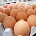 Ferme des Beurreries 20 Organic Eggs - Small