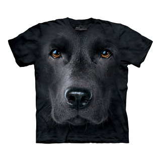 Big Face Labrador T-Shirt (Black Lab Large)