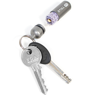 Cash Stash Keychain (Silver)