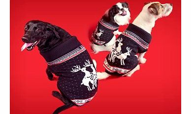 Firebox Christmas Jumpers for Dogs (Large)