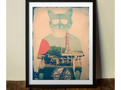 Firebox Cool Cat (Large in a Black Frame)