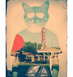 Firebox Cool Cat (Large Print Only)