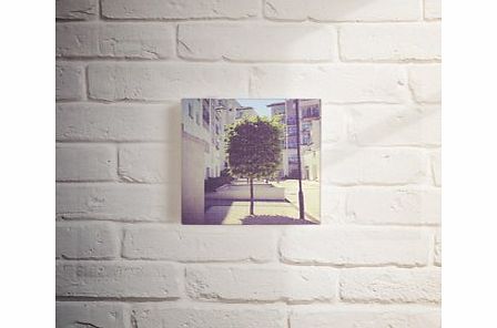 Firebox Gramography Canvas Prints (One 8``)