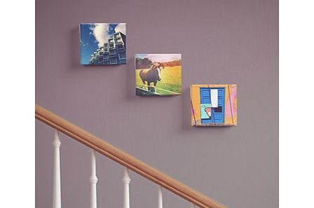 Firebox Gramography Canvas Prints (Three 6``)