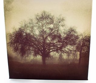 Firebox Instagram Canvas Prints (One 10x10`` - 25x25cm)
