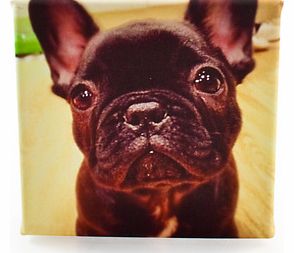 Firebox Instagram Canvas Prints (One 6x6`` - 15x15cm)