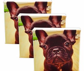Firebox Instagram Canvas Prints (Three 6x6`` - 15x15cm)
