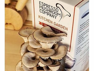 Firebox Kitchen Mushroom Garden