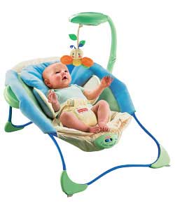 Fisher-Price Papasan Infant Seat