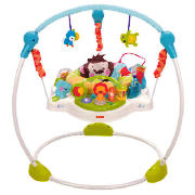 Fisher-Price Precious Planet Jumperoo
