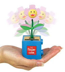 Flower Cube