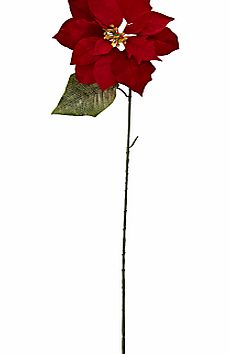 Velvet Poinsettia, Red