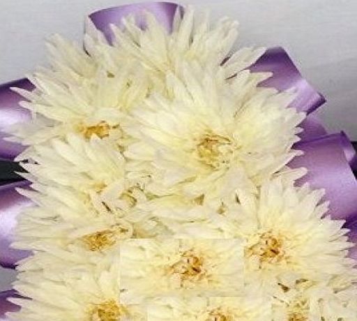 floral supplies 144 Artificial Cream Chrysanthemum Picks Florist Funeral Tribute Flowers