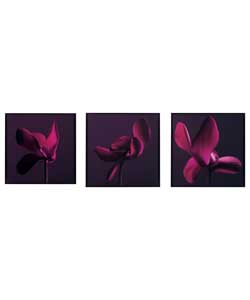 Flower Synthetic Canvas Set of 3 Wall Art - Purple
