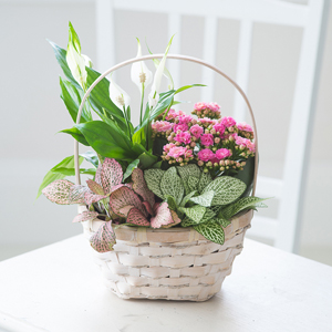 Flowers Direct Indoor Basket